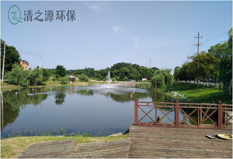 城市的污水存在低碳相對高氮磷的水質如何處理 城市的污水存在低碳相對高氮磷的水質如何處理