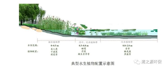 1668740012102702.jpg 44.jpg