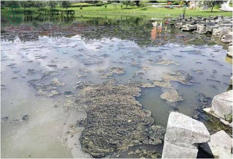 常用的污水水質的化學指標有哪些 常用的污水水質的化學指標有哪些