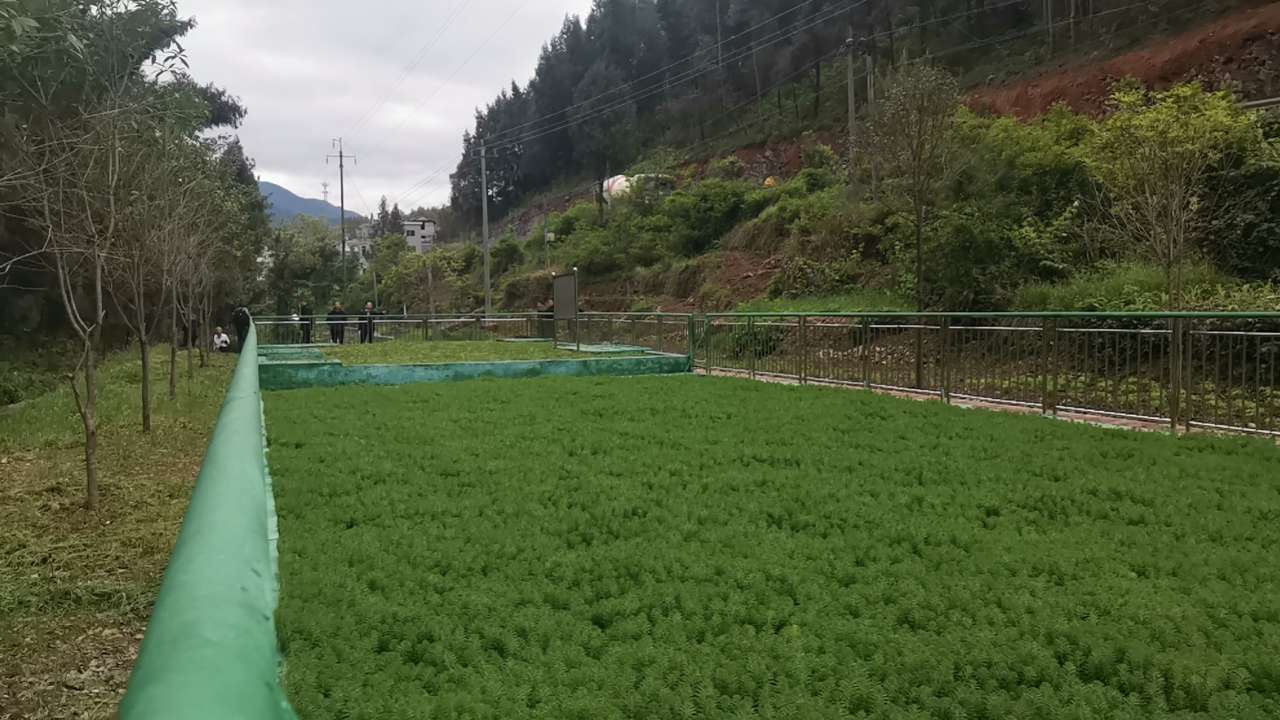 1684400361129866.jpg 石塘村集中點1.jpg