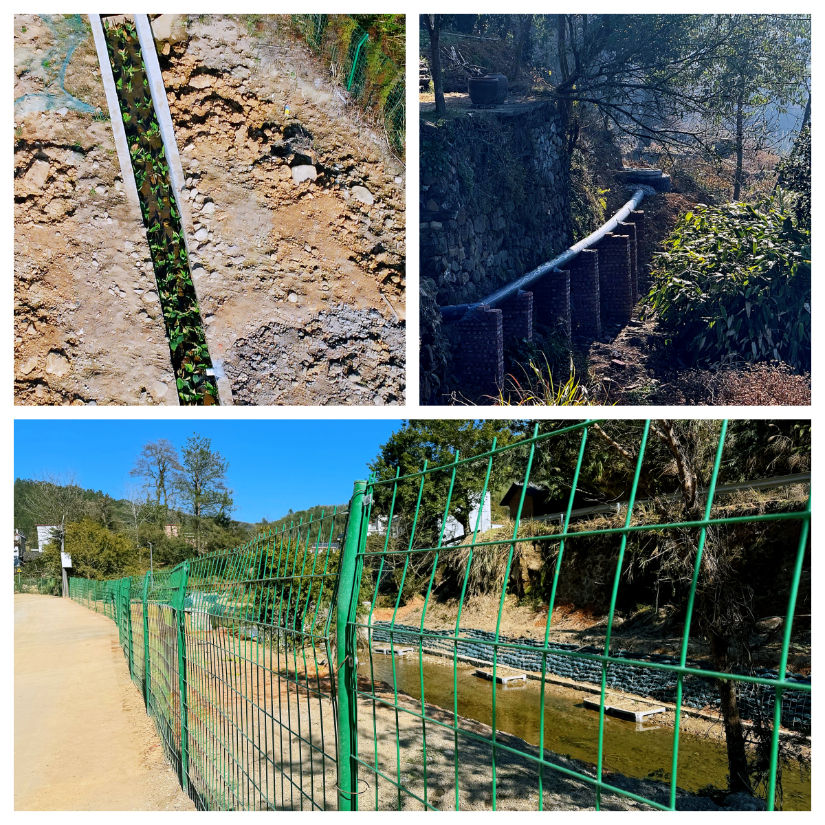 1704338603203009.png 2.png