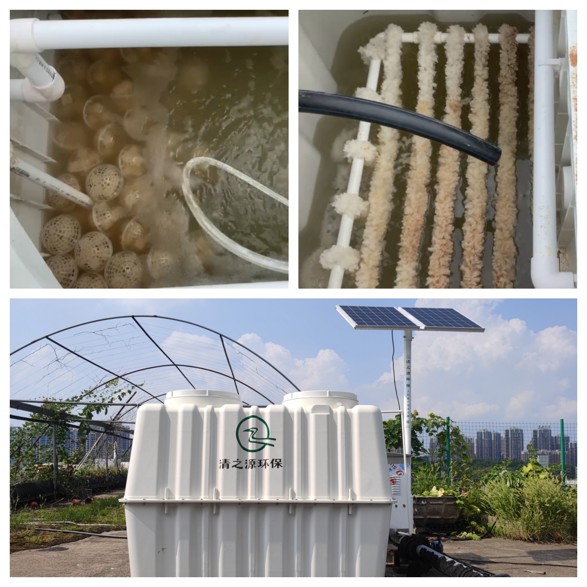 1719474146704395.jpg 1719474146704395.jpg