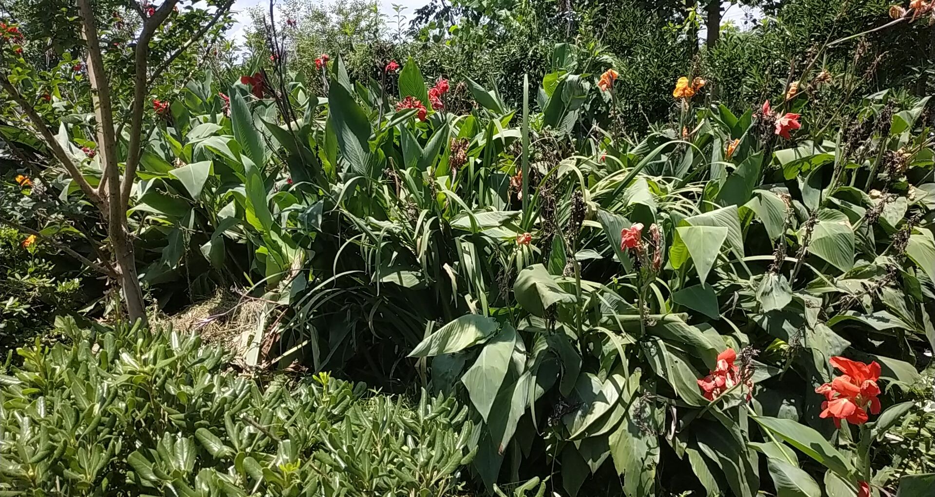 1719890124205691.jpg 1719890124205691.jpg