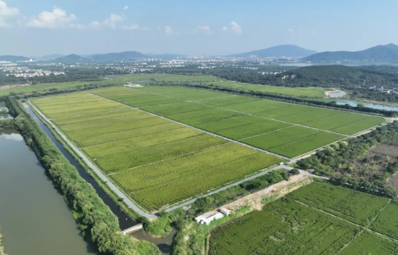 1735282877192430.png 圖片2.png