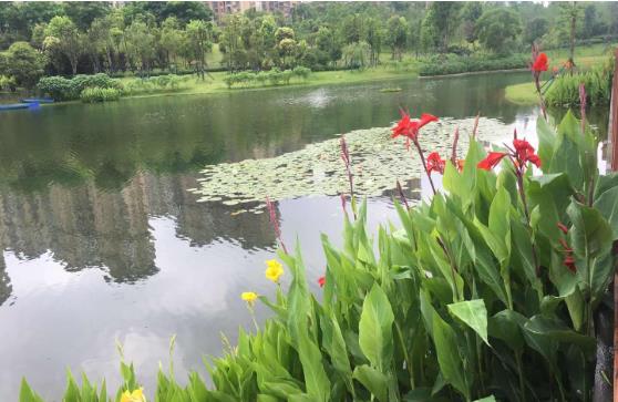 農村生活污水治理找哪家公司好? 農村生活污水治理找哪家公司好?