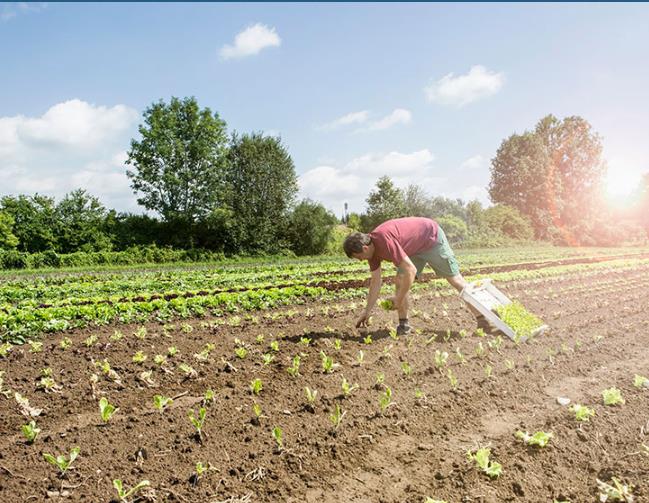 醫療廢水處理方案設計哪家好? 醫療廢水處理方案設計哪家好?