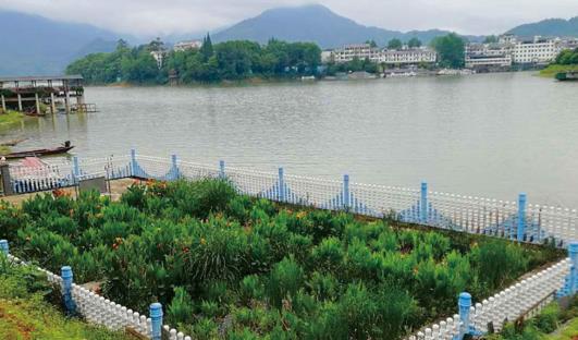 污水處理的一般流程是怎樣的? 污水處理的一般流程是怎樣的?