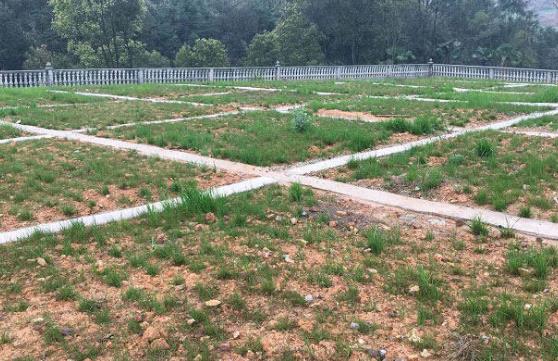 農村環境治理怎么做才更有效? 農村環境治理怎么做才更有效?